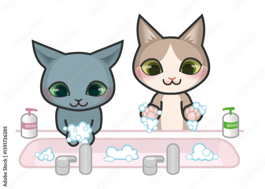 石鹸で手を洗っている2匹の猫