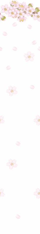 桜の壁紙1